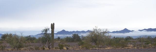 Quartzsite Campsite View